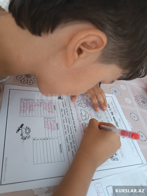 Mental arifmetika kursları Mental arifmetika kursları