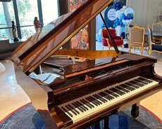 Piano dərsleri