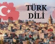 Türk dili kursları