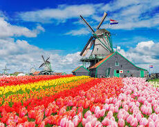 Holland dili dərsləri