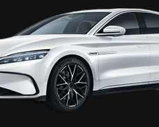 Sürücülük Təlimi