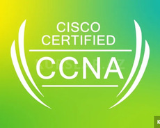 Şəbəkə dərsləri