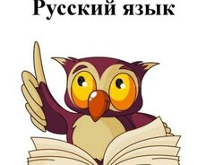 İbtidai siniflər üçün rus dili dərsi