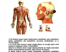 Hicama və Hirudoterapiya kursu