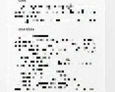 Məqalə, Referat və Təqdimat