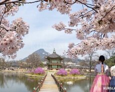 Koreya dili dərsləri